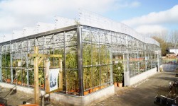 Plant stock and people are protected from wind and rain but have access to fresh air and sunshine.