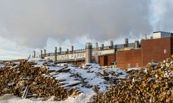 Über 1.000 Tonnen Holz werden täglich in der Munksund-Papierfabrik verarbeitet.