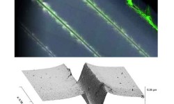 Fig. 2: upper: Multiple scratches treated with fluor-escent penetrant to make cracks and chips better visible; lower: 3D topography of a scratch shows deformation and stress release through side cracks.