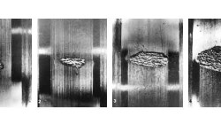 Bild 1: Die Ausbreitung von Ausbrüchen ausgehend von einem Oberflächendefekt in einem Zylinderrollenlager bei einer zunehmenden Anzahl von Umdrehungen (Snare [7]).