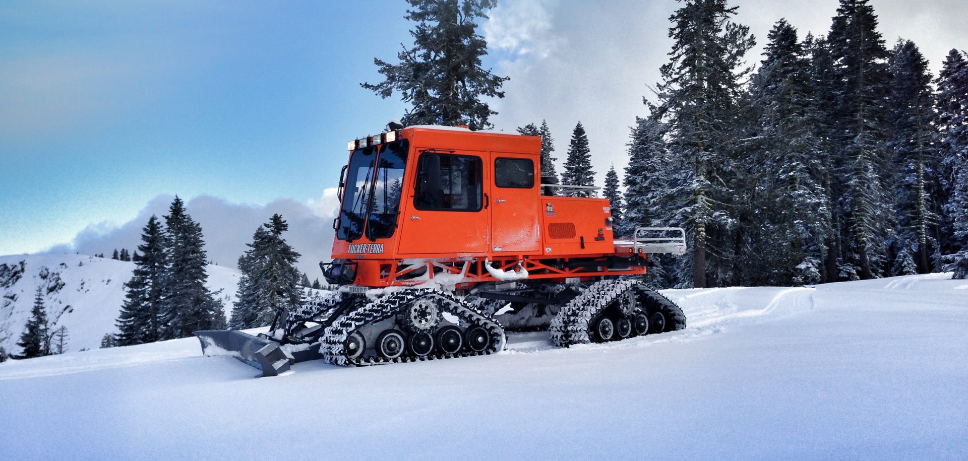 Nacido para la nieve | Evolution Online