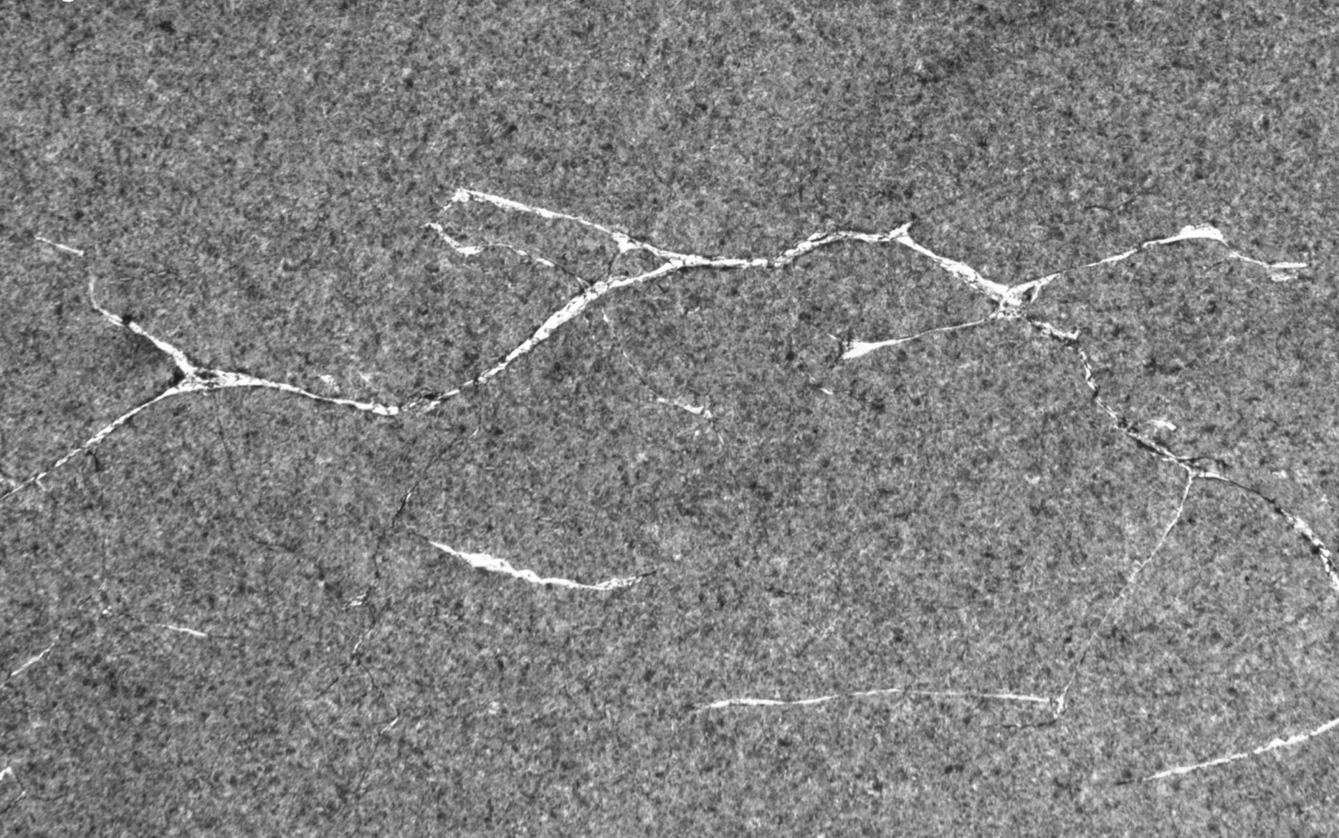 Réseau étendu de fissures de phase blanche typique – Roulement à rotule sur rouleaux de grandes dimensions.