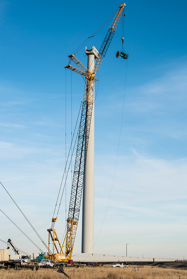 Testing for the future Evolution Online