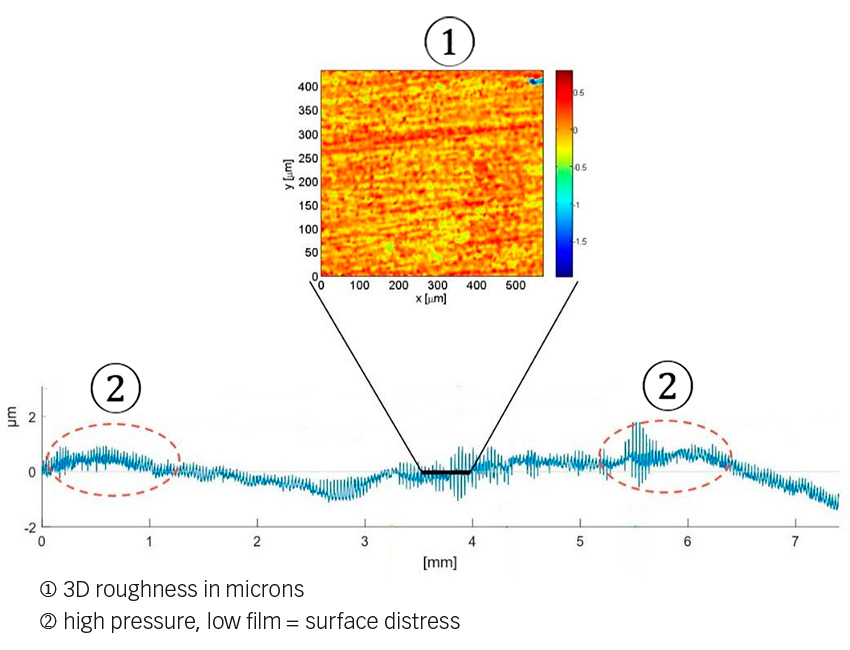 Fig. 2: Example of a rolling bearing raceway profile and 3D roughness modified after uneven wear.