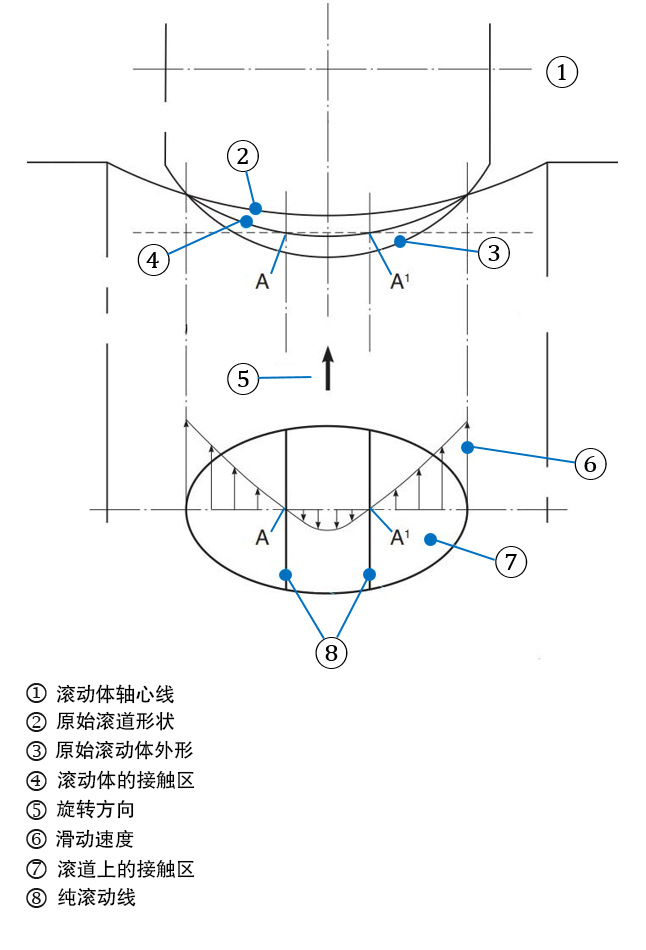 图4a:滚动体与滚道曲面的接触以及对弹性变形的影响。 此图描述了滑动产生的原因。