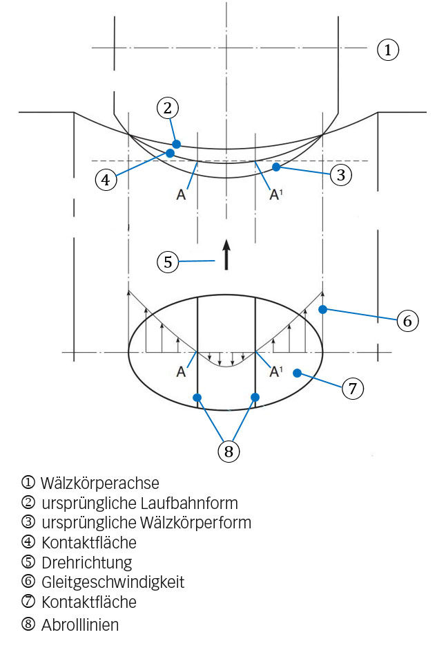 Bild 4a: Einfluss einer elastischen Verformung innerhalb eines Wälzkörper-Laufbahn-Kontakts mit einer gebogenen Kontaktfläche. Dieses Bild zeigt, wie Gleitbewegungen entstehen