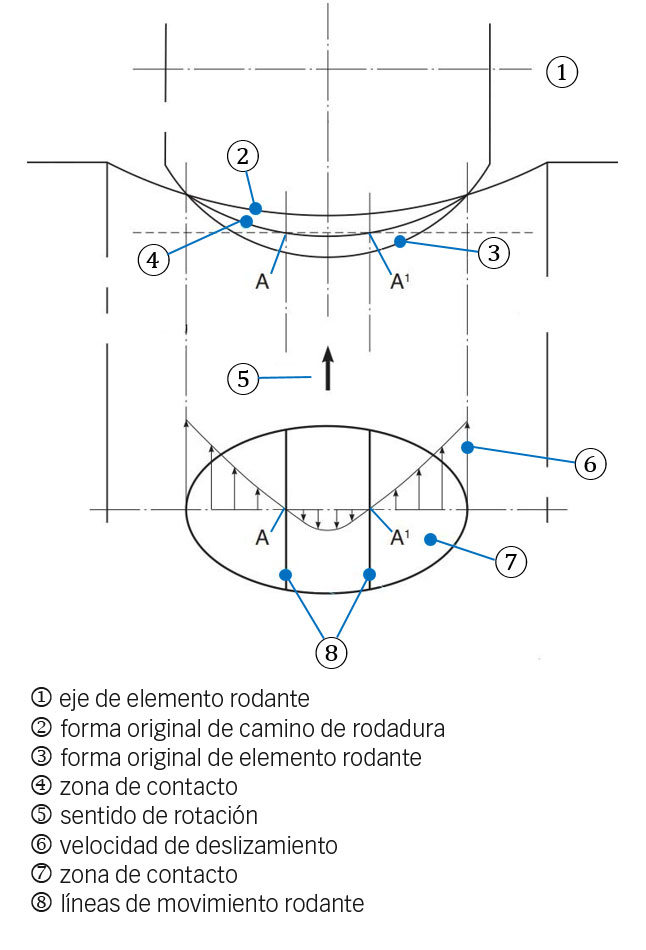Fig. 4a: Contacto del elemento rodante con el camino de rodadura en una superficie de contacto curva, e influencia de la deformación elástica. Esto describe cómo se forma el deslizamiento.