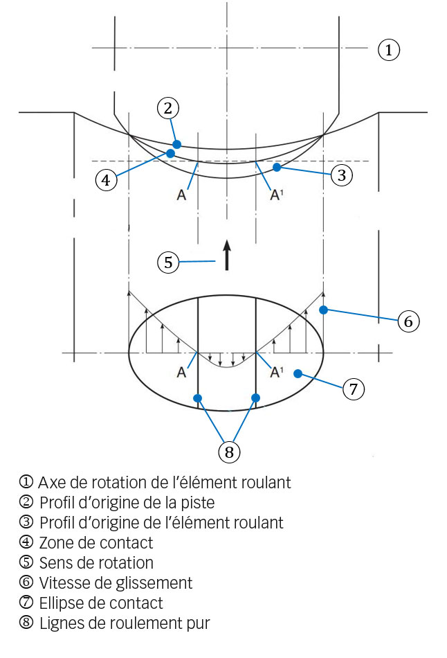 Fig. 4a. Contact piste-élément roulant avec une surface de contact courbe et influence de la déformation élastique. Cette image illustre la manière dont le glissement s’opère.