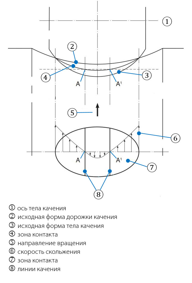 Рис. 4а: Контакт тела качения с дорожкой качения (с криволинейной контактной поверхностью) и влияние упругой деформации. На рисунке показано, как происходит скольжение.