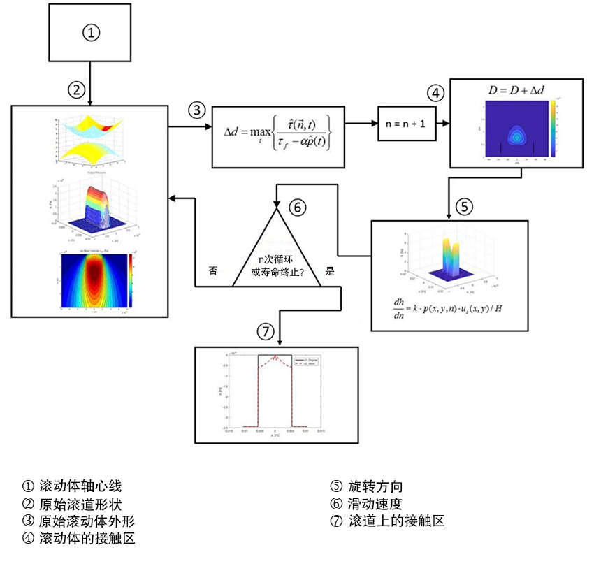 图5:滚动接触疲劳模型中对于滚道磨损需要考虑的因素。