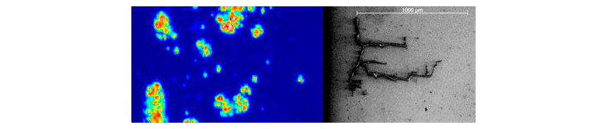 Fig. 5: C-scan image (left) of a bearing raceway representing ultrasonic energy reflected from subsurface defects. After sectioning at the subsurface cracks, ultrasound testing can be correlated with results in optical microscopy (right).