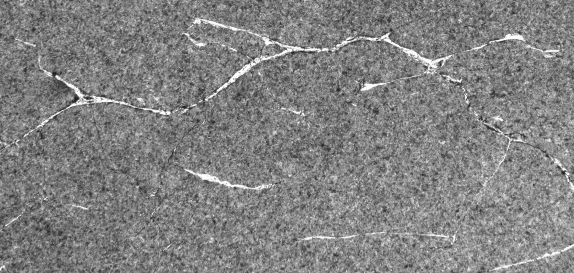 Réseau étendu de fissures de phase blanche typique – Roulement à rotule sur rouleaux de grandes dimensions.