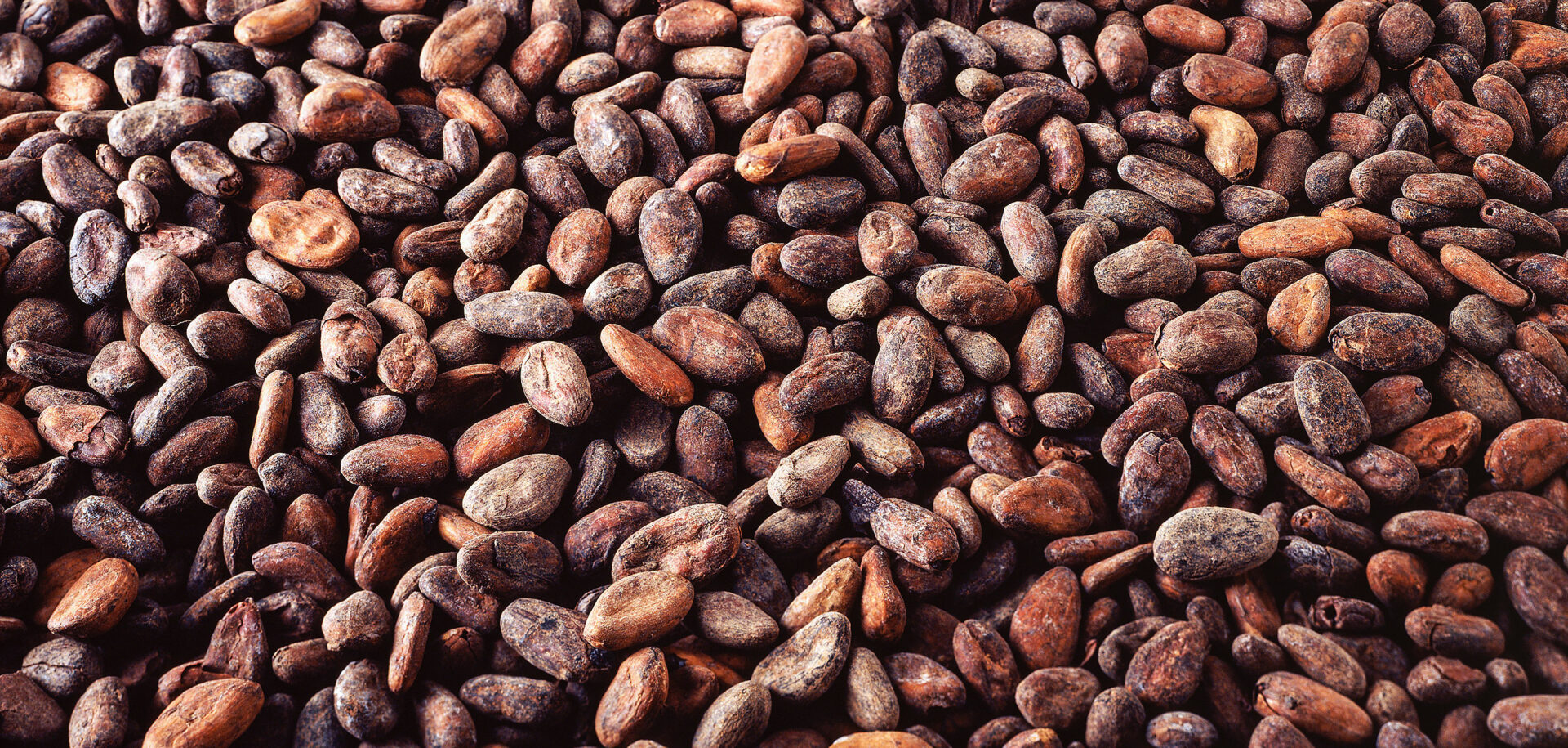 Cargill производит различную продукцию из какао и шоколада.