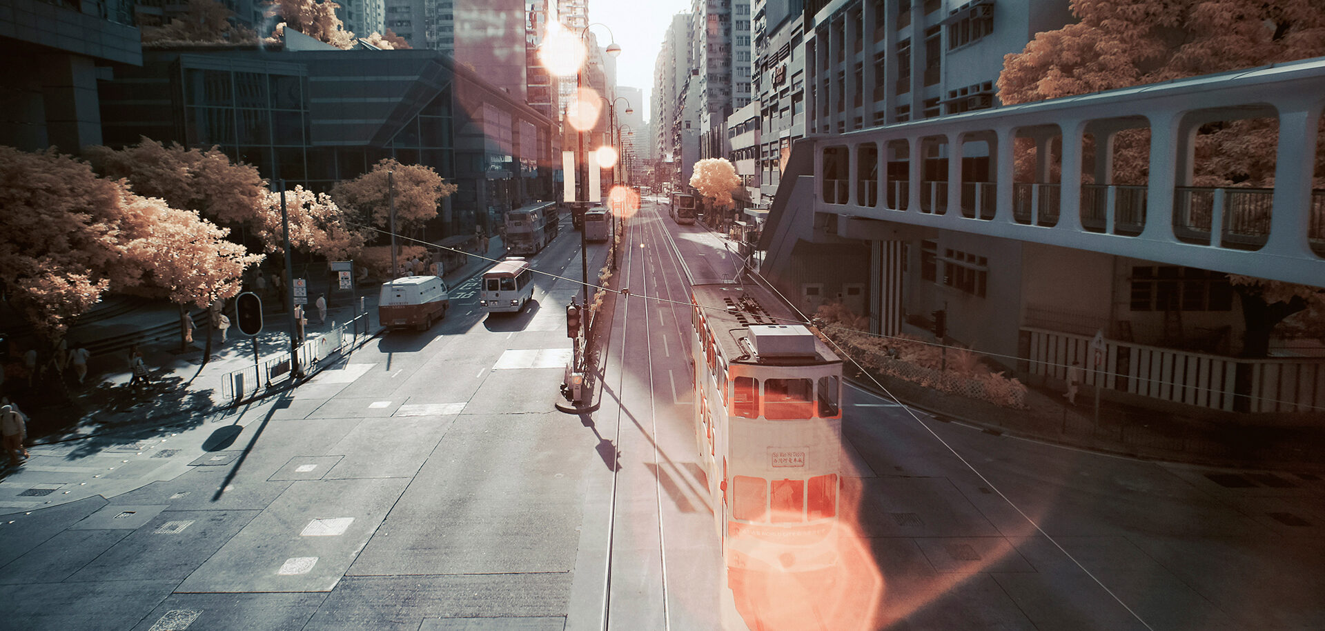 The iconic ‘ding-ding’ trams have been running the streets of Hong Kong Island for more than a century.