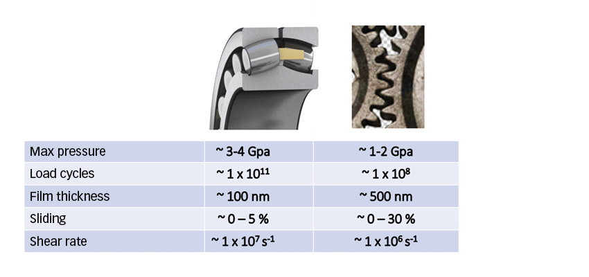 Comparison of typical conditions between contacts in rolling bearings and gears